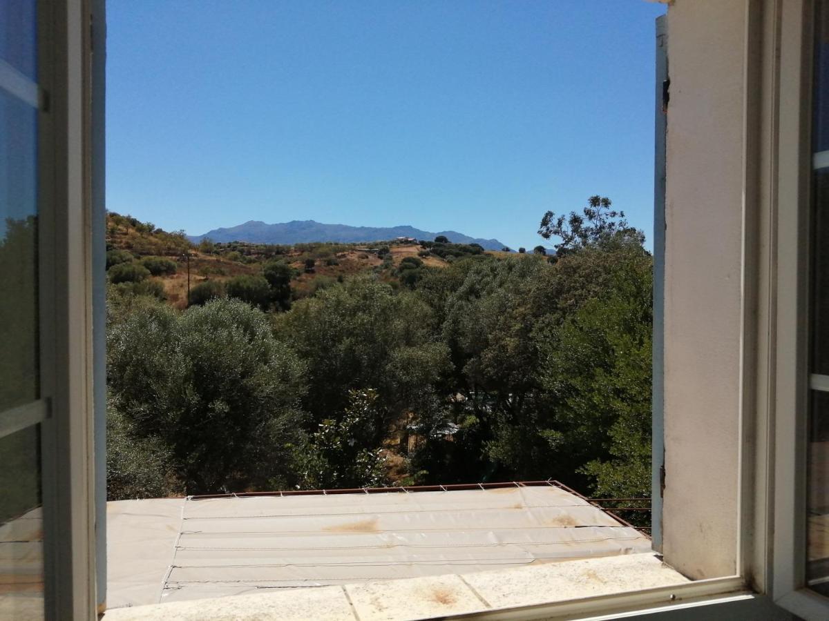 Berbi Rosse Pensión Oletta (Corsica)