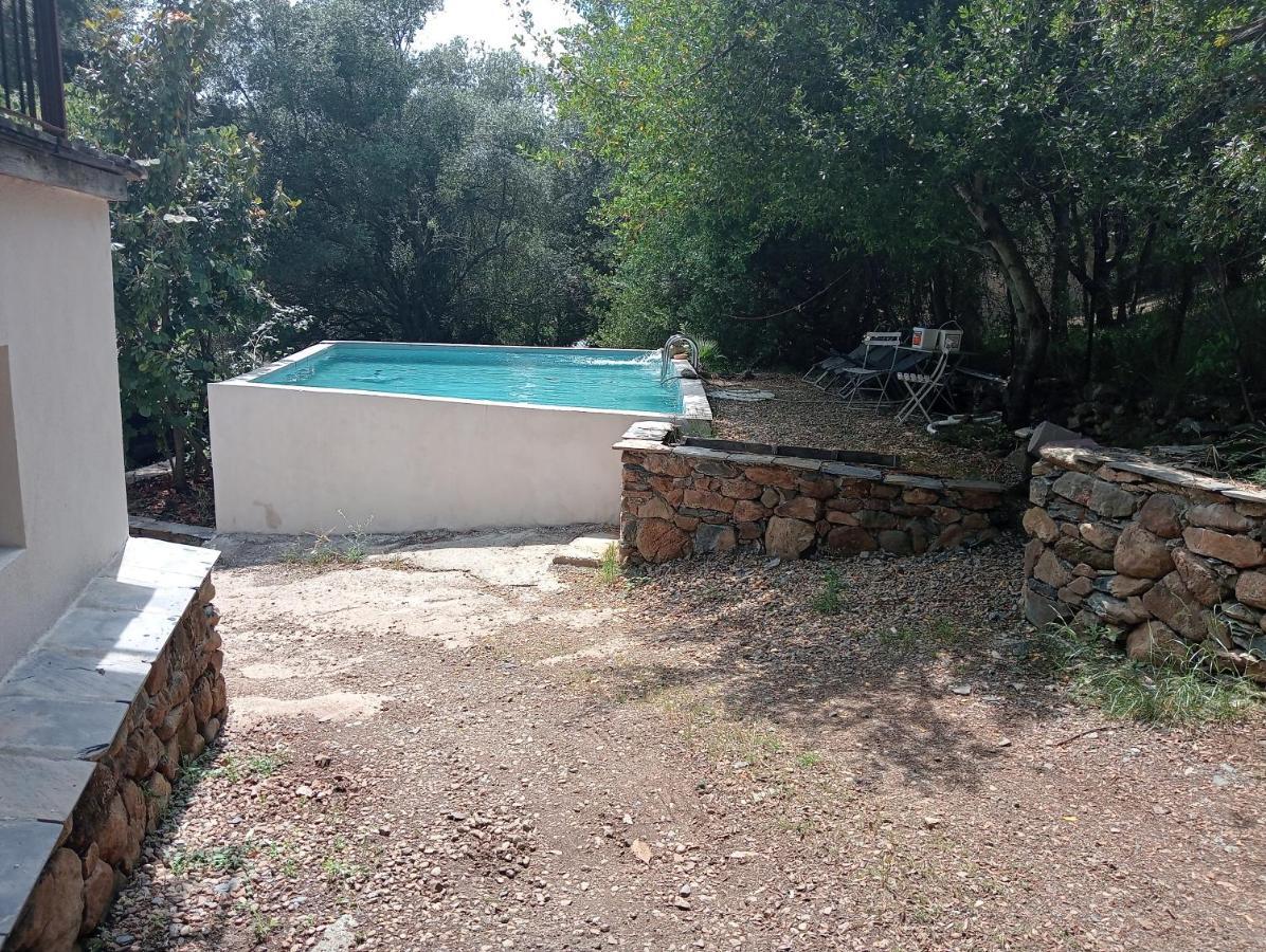 Pensión Berbi Rosse Oletta (Corsica)